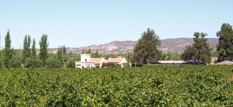 Bodegas familia mosso