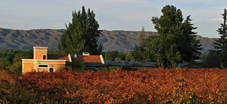 Bodegas familia mosso